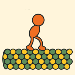 Avatar de l’utilisateur